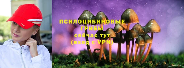 спиды Нефтегорск