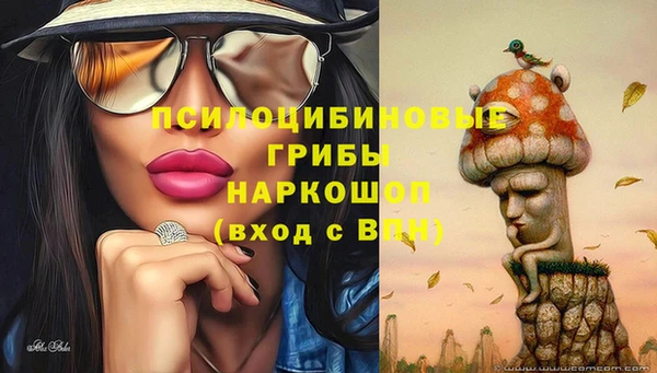 ГАЛЛЮЦИНОГЕННЫЕ ГРИБЫ Нея