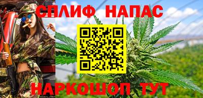 apvp Камышлов