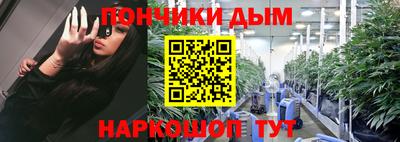 apvp Камышлов