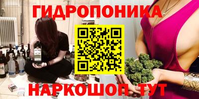 apvp Камышлов