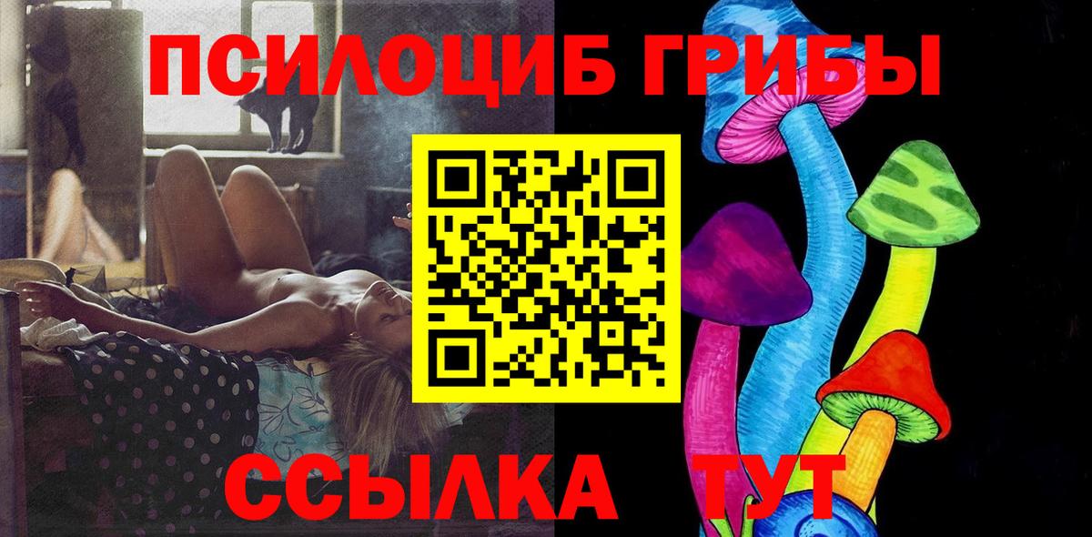 Саки  Галлюциногенные грибы Psilocybe  Вход с VPN 