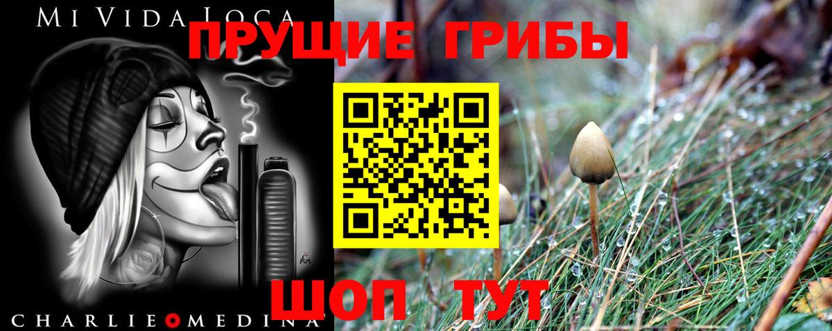 Псилоцибиновые грибы прущие грибы Саки