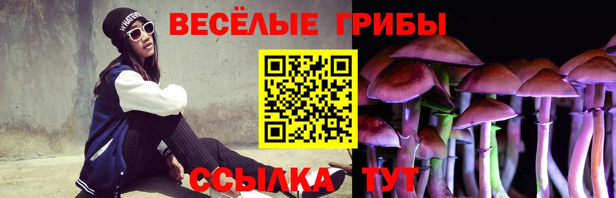 Галлюциногенные грибы прущие грибы  Галлюциногенные грибы прущие грибы  Саки 